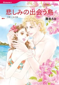 悲しみの出会う島【分冊】 表紙