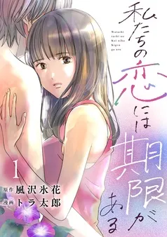 私たちの恋には期限がある 表紙