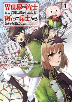 異世界の戦士として国に招かれたけど、断って兵士から始める事にした 表紙