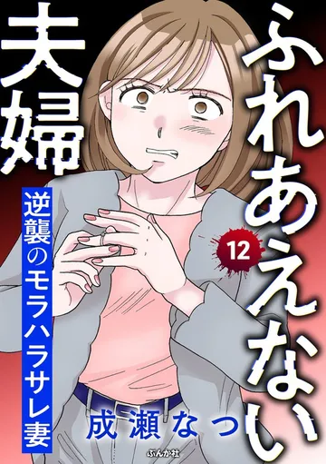 ふれあえない夫婦 逆襲のモラハラサレ妻 表紙