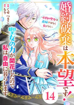 Berry's Fantasy 婚約破棄は本望です！聖女の力が開花したので私は自由に暮らします～本物の聖女は義姉ではなく私でした～ 表紙