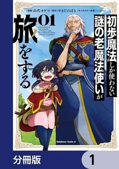 初歩魔法しか使わない謎の老魔法使いが旅をする 表紙
