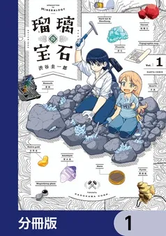 瑠璃の宝石 表紙