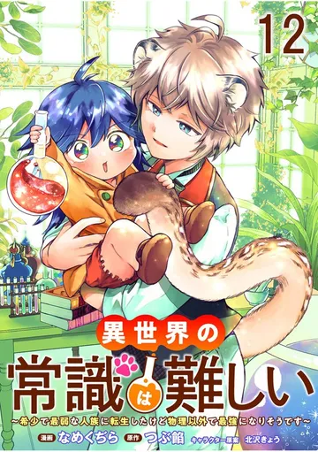 異世界の常識は難しい～希少で最弱な人族に転生したけど物理以外で最強になりそうです～ ストーリアダッシュ 表紙