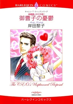 御曹子の憂鬱〈結婚嫌いの三兄弟Ⅰ〉【分冊】 表紙