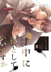 手中に落としていいですか 表紙