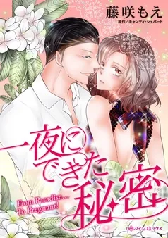 一夜にできた秘密【分冊】 表紙