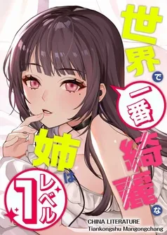 世界で一番綺麗な姉はレベル 表紙