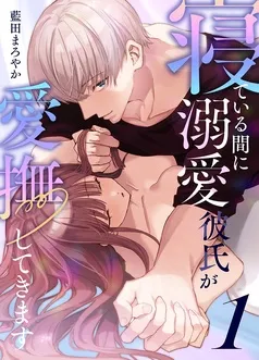 寝ている間に溺愛彼氏が愛撫してきます 表紙