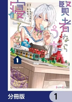 賢者ならうちで寝てる 表紙