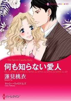 何も知らない愛人【分冊】 表紙