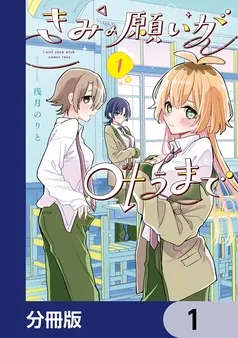 きみの願いが叶うまで 表紙
