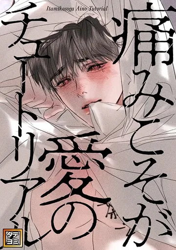 痛みこそが愛のチュートリアル 表紙