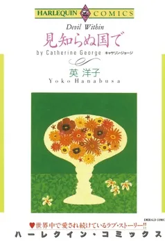 見知らぬ国で【分冊】 表紙