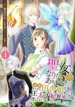 聖女になりたい訳ではありませんが 辺境からきた田舎娘なのに王太子妃候補に選ばれてしまいました!? / 表紙