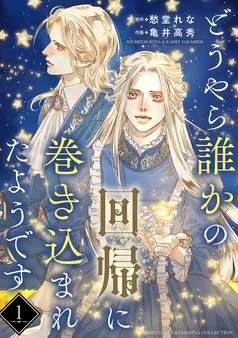 どうやら誰かの回帰に巻き込まれたようです 表紙