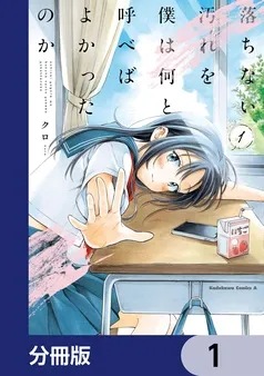 落ちない汚れを僕は何と呼べばよかったのか 表紙
