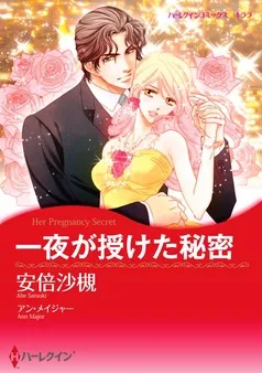 一夜が授けた秘密【分冊】 表紙