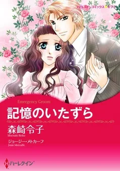 記憶のいたずら【分冊】 表紙