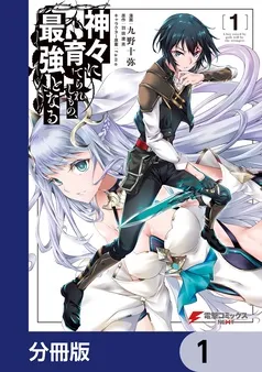 神々に育てられしもの、最強となる 表紙