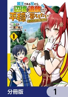 国王である兄から辺境に追放されたけど平穏に暮らしたい ～目指せスローライフ～ 表紙