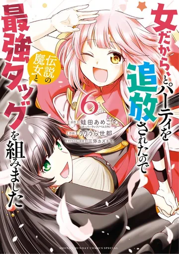 女だから、とパーティを追放されたので伝説の魔女と最強タッグを組みました 表紙