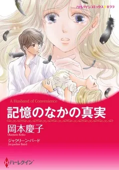 記憶のなかの真実【分冊】 表紙