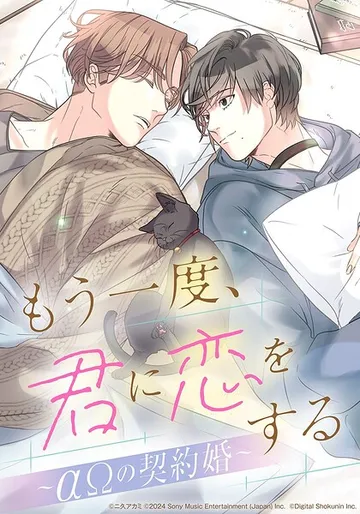 もう一度、君に恋をする 表紙