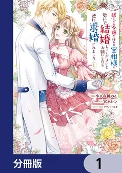 捨てられ令嬢が憧れの宰相様に勢いで結婚してくださいとお願いしたら逆に求婚されました 表紙