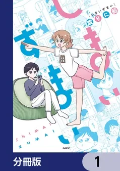 しまいずまい 表紙