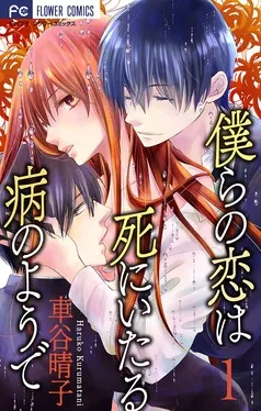 僕らの恋は死にいたる病のようで 表紙