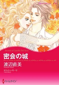 密会の城【7分冊】 表紙