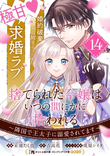 捨てられた令嬢は、いつの間にかに拾われる～隣国で王太子に溺愛されてます～ 表紙