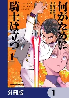 何がために騎士は立つ 表紙