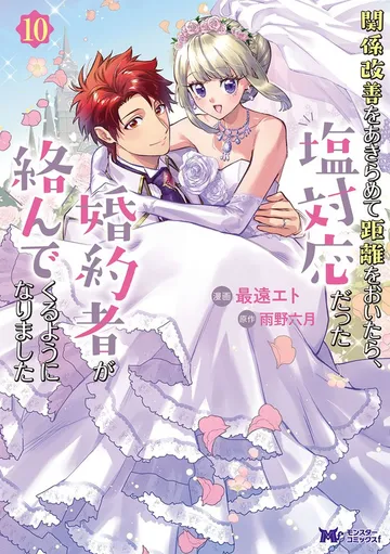 関係改善をあきらめて距離をおいたら、塩対応だった婚約者が絡んでくるようになりました 表紙