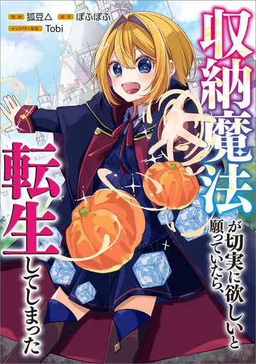 「収納魔法が切実に欲しいと願っていたら、転生してしまった 表紙