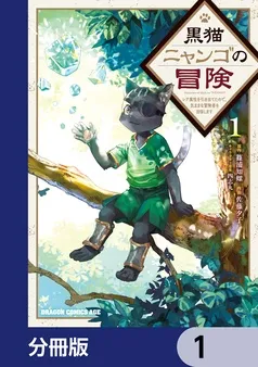 黒猫ニャンゴの冒険 表紙