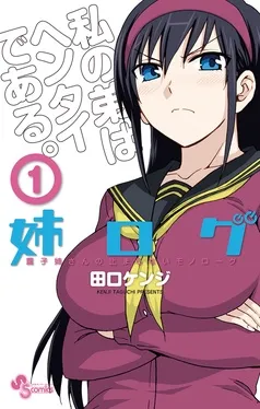 姉ログ 表紙
