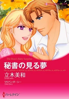 秘書の見る夢【分冊】 表紙