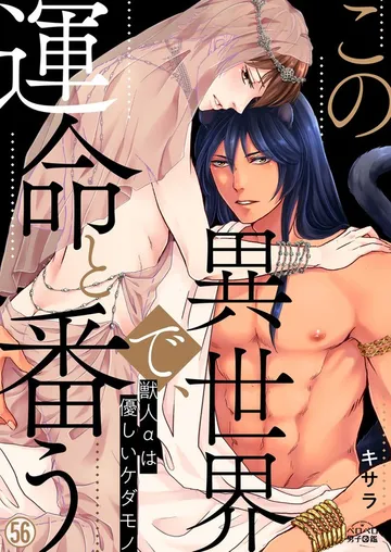 この異世界で、運命と番う～獣人αは優しいケダモノ～ 表紙