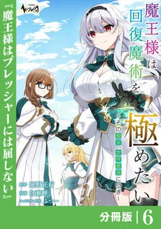 魔王様は回復魔術を極めたい 表紙