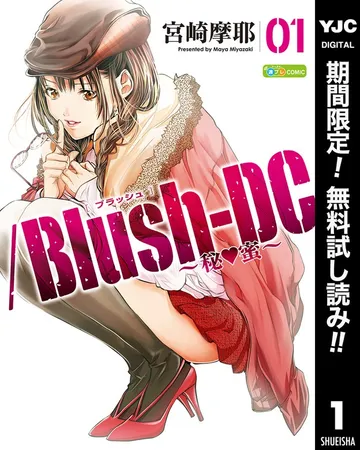 /Blush-DC ～秘・蜜～ 表紙