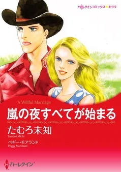 嵐の夜すべてが始まる【分冊】 表紙