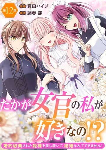 たかが女官の私が好きなの！？ 婚約破棄された姫様を差し置いて、結婚なんてできません！ 表紙
