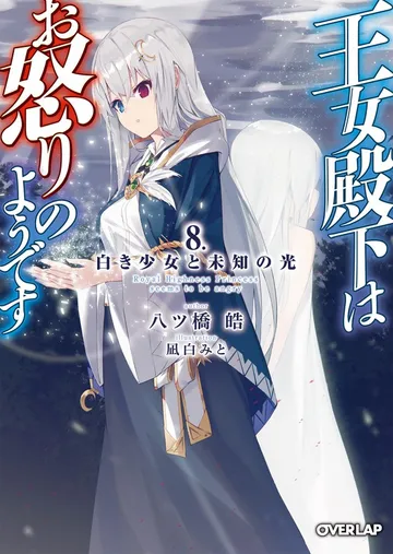 王女殿下はお怒りのようです 表紙