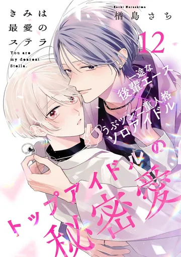きみは最愛のステラ 表紙