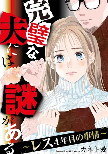 完璧な夫には謎がある～レス4年目の事情～ 表紙