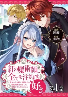 紅の魔術師に全てを注ぎます。好き。@COMIC 表紙