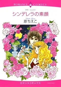シンデレラの素顔【分冊】 表紙