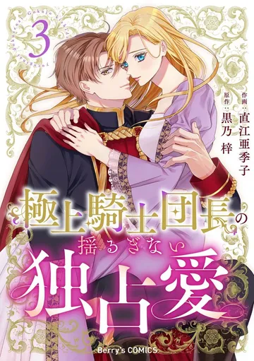 極上騎士団長の揺るぎない独占愛 表紙